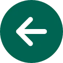 Previous Icon